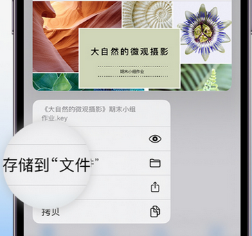 东风apple维修中心分享iPhone文件应用中存储和找到下载文件