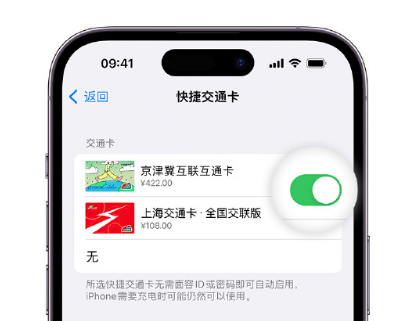 东风apple维修点分享iPhone上更换Apple Pay快捷交通卡手绘卡面 