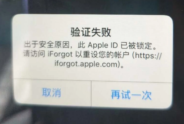 东风iPhone维修分享iPhone上正常登录或使用AppleID怎么办 