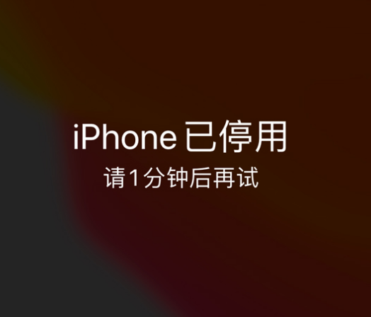 东风苹果手机维修分享:iPhone 显示“不可用”或“已停用”怎么办？还能保留数据吗？ 