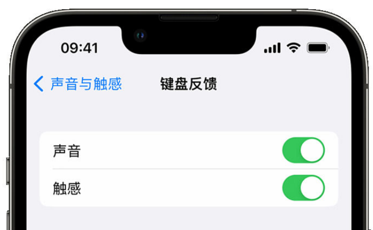 东风苹果手机维修分享iPhone 14触感键盘使用方法 