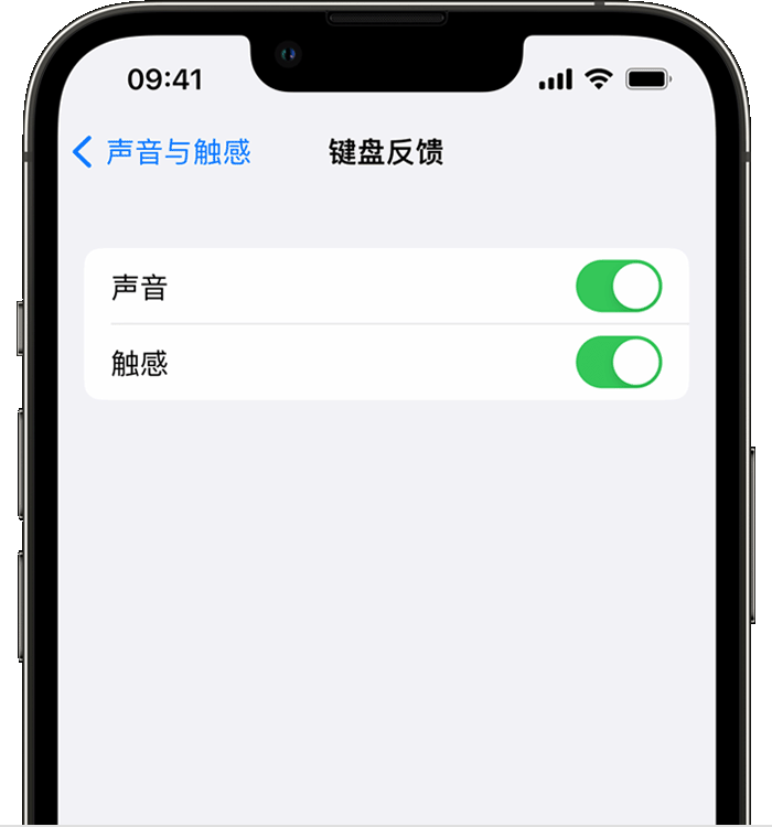 东风苹果14维修店分享如何在 iPhone 14 机型中使用触感键盘 