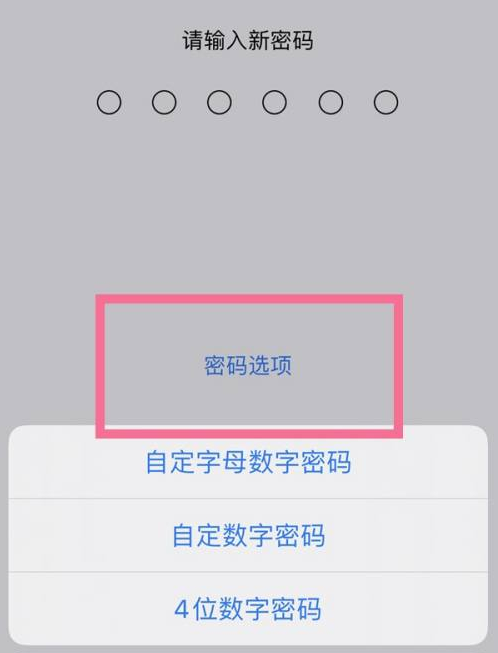 东风苹果14维修分享iPhone 14plus设置密码的方法 