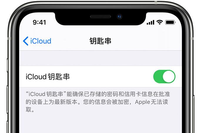 东风苹果手机维修分享在 iPhone 上开启 iCloud 钥匙串之后会储存哪些信息 