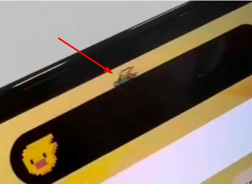 东风苹果14维修分享iPhone 14 Pro Max灵动岛怎么养宠物 