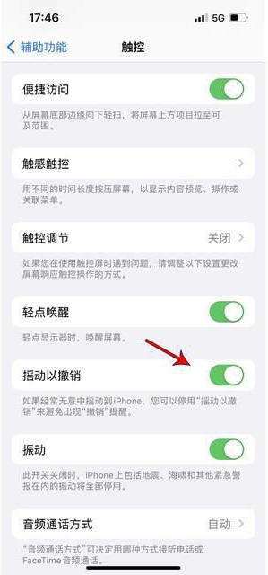 东风苹果手机维修分享iPhone手机如何设置摇一摇删除文字 