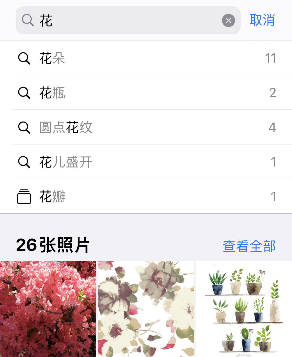 东风苹果手机维修分享iPhone 小技巧 