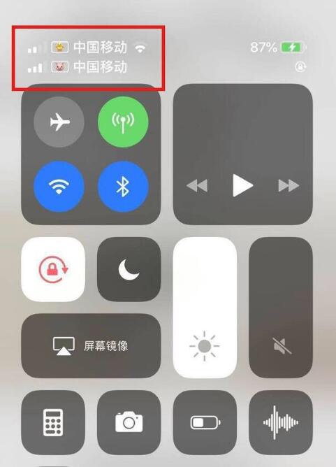 东风苹果手机维修分享为 iPhone 12 双卡设置标签 