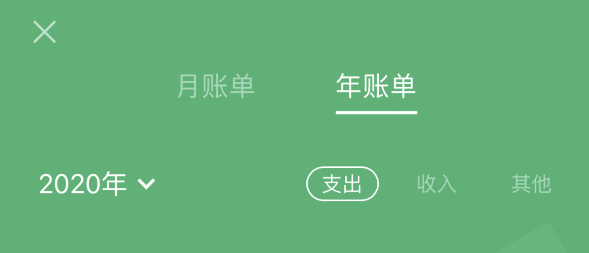 东风苹果手机维修分享如何在 iPhone 上查看支付宝和微信年支出账单 